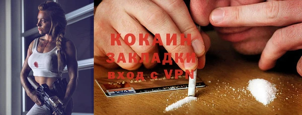 прущие грибы Аркадак