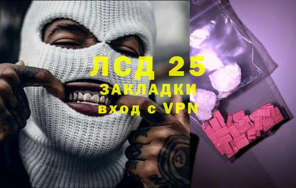 прущие грибы Аркадак