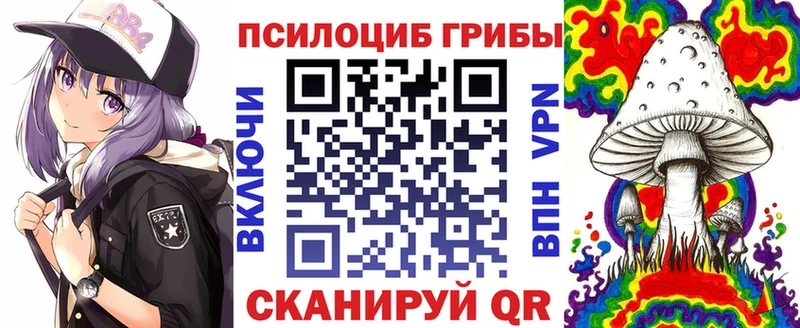 Псилоцибиновые грибы Psilocybe где можно купить Петухово