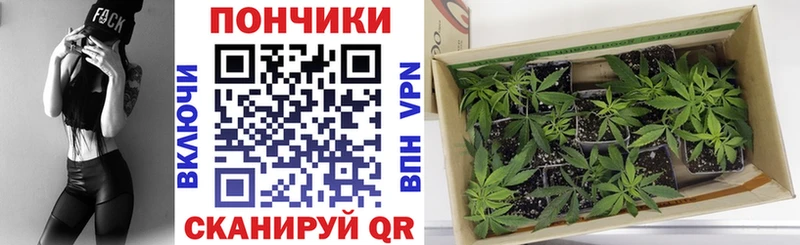 Бошки марихуана VHQ  Петухово 